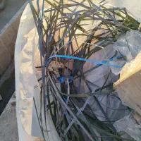 مرکز خرید ضایعاتی(عادلی) با بالاترین قیمتا و بروز