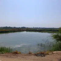 کارگر حوضچه ماهی شوشتر