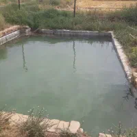 باغ-فروشی-روستای-راهجرد