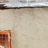 گمشده|پرنده|سبزوار, کوی گلستان|دیوار