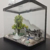 آکواریوم شیشه خم|ماهی|تهران, کاج|دیوار