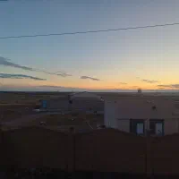 کارگر مرغداری