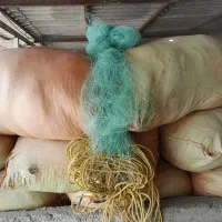 تور ماهیگیری در حد صفر طور