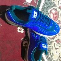 سالنی اصل خارجی