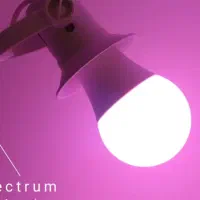 لامپ رشد گیاه ۱۵ وات مانی نور|گل و گیاه طبیعی|قلعه قاضی, |دیوار