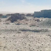 زمین فروشی|فروش زمین و ملک کلنگی|ریگ ملک, |دیوار