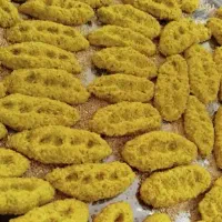 ترخینه بروجردی