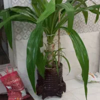 فروش وسایل شخصی و منزل