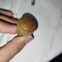 انگشتر شجر دریایی