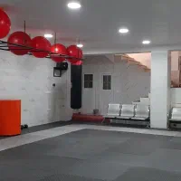 آکادمی رزمی رومیانی