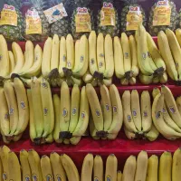 نگهبان شب برای میوه فروشی