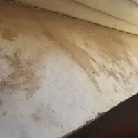 نیازمند نیرو نظافت منزل