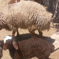 کیلو ۷۲۰