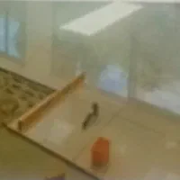 انجام کلیه کارها کاشی کاری استخر سونا جکوزی|خدمات پیشه و مهارت|تویسرکان, |دیوار