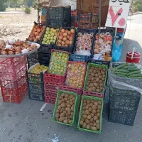 حراج واقعی میوه قیمت های مناسب