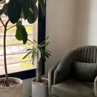 اجاره مطب در بهترین لوکیشن