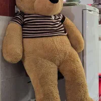 خرس بزرگ