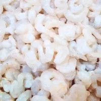 میگو|ماهی|قشم, |دیوار