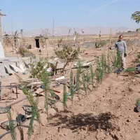 باغ پانصد و ۱۰۰۰ متری ۱ ساعته تهران|فروش دفتر صنعتی، کشاورزی، تجاری|زرندیه, |دیوار