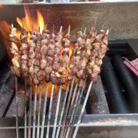 کباب زغالی حجت پنجه طلا|خدمات پذیرایی، مراسم|تربتحیدریه, پایانه مسافربری تربت حیدریه|دیوار