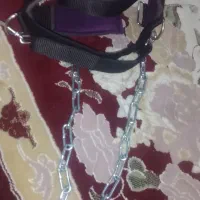 تسمه گردن ولف اورجینال همراه زنجیر