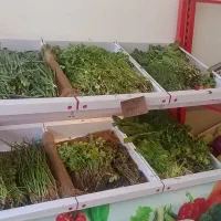 فروش کلیه قفسه ترازو تابلو سایه بان و..مغازه میوه|فروشگاه و مغازه|اردبیل, |دیوار