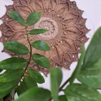 فرشینه ماندالا اولیتا(مکرومه )دستبافت|پادری|اصفهان, باغ فدک|دیوار