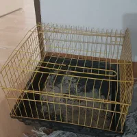 قفس خرگوش|لوازم جانبی حیوانات|شاهرود, |دیوار