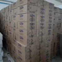 کارگر ساده جوان در شهرک شکوهیه