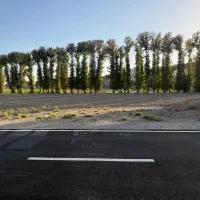 زمین ۲۴۰۰ متری سنددار بر بلوار ۳۰ متری قاعم