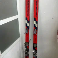 چوب‌ اسکی آلپاین ( آلمانی pilz)