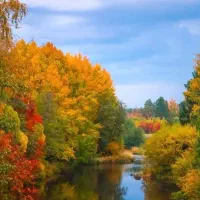 سوییت در منطقه دنج خوش آب هوا