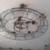 جوشکاری سیار|خدمات پیشه و مهارت|نورآباد, |دیوار