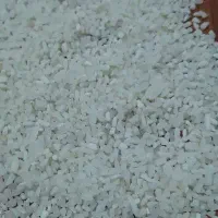 نیم دانه هاشمی