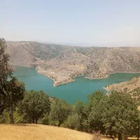 بلوار حبشی کوچه تعلیم ارش