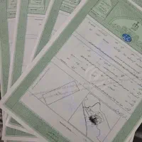 زمین-فاز-3صدرا-سند-تک-برگ