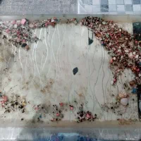 حراج یک عدد آکواریوم