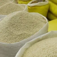 برنج طارم ایلام