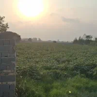 فروش زمین برای ویلا سازی