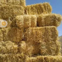 کلش و کاه پرس شده