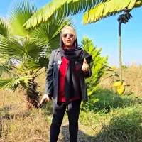 زمین سندتک برگ دردفترخانه با ویلاسویسی در نیاوران