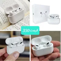 اف فوق العاده ویژه پاییزه|فعالیت داوطلبانه|رشت, فلسطین|دیوار