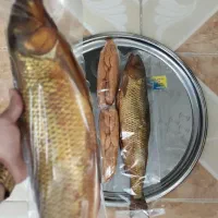 فروش انواع ماهی سفید دودی لوکس و اشبل