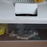 آکواریوم شیشه خم