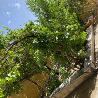 فروش ویلایی مهاجران