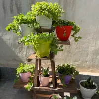 گل طبیعی