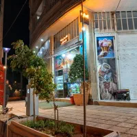 مغازه-کارشناسان