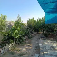 فروش باغ 500متری نوده رباط کریم قیمت کاسبی|فروش خانه و ویلا|رباط‌کریم, نوده|دیوار