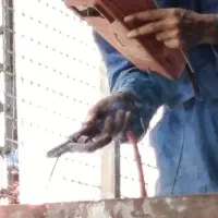 جوشکار خط گاز(آبند)