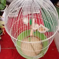 قفس|لوازم جانبی حیوانات|خرمآباد, |دیوار